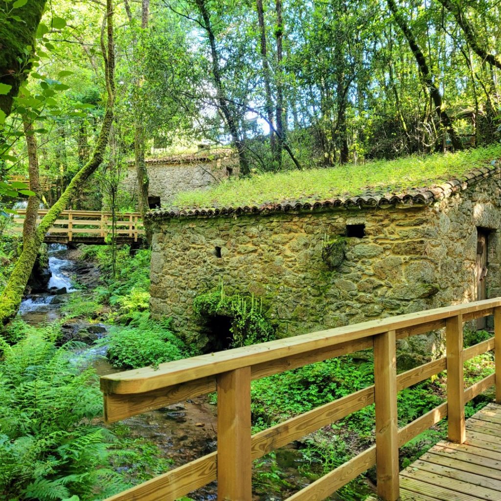 Bajada al centro de interpretación de los Molinos