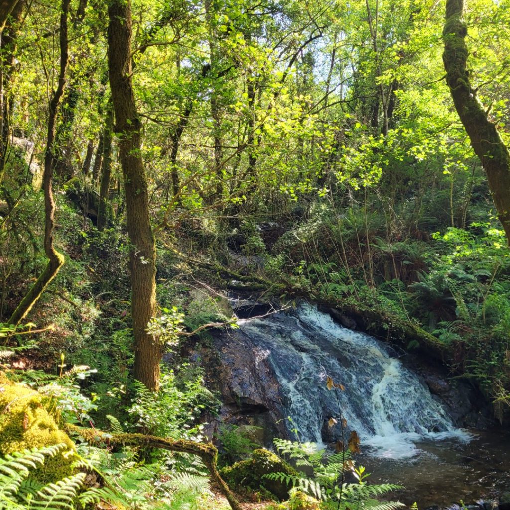 Cascada ruta molinos