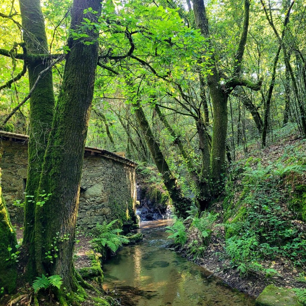 Ruta molinos Santiago de Compostela