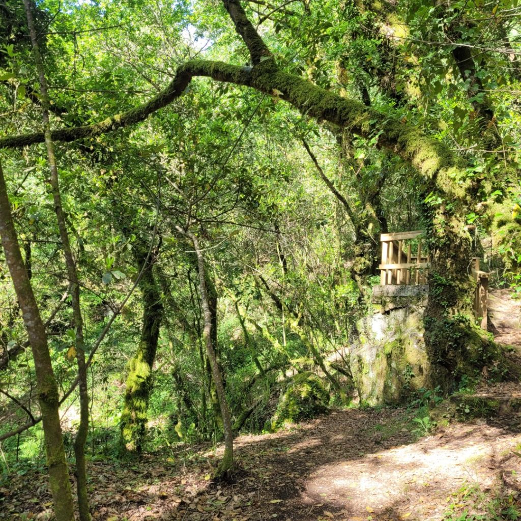 Mirador ruta molinos