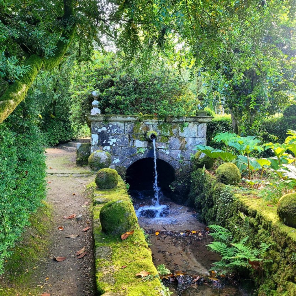 Riachuelo Pazo Oca