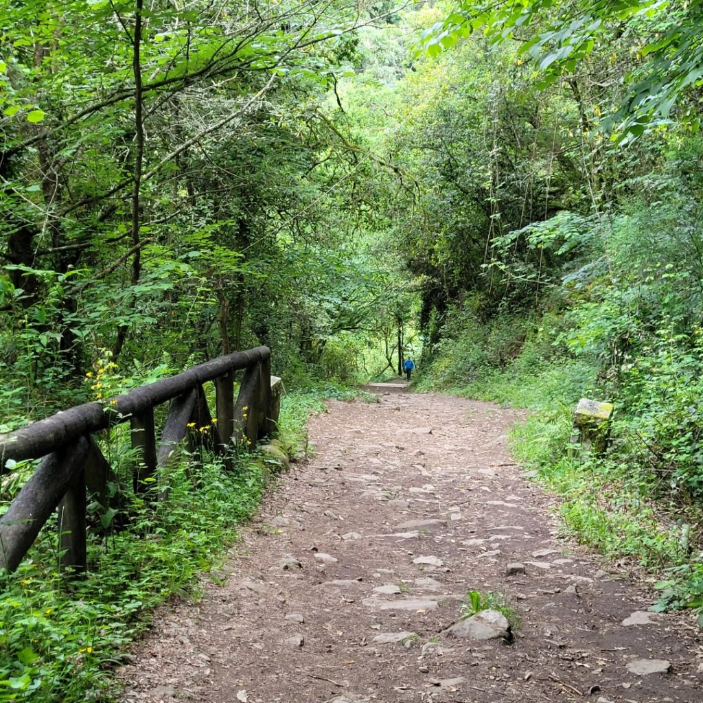 Rutas turísiticas Sendero hasta Toxa