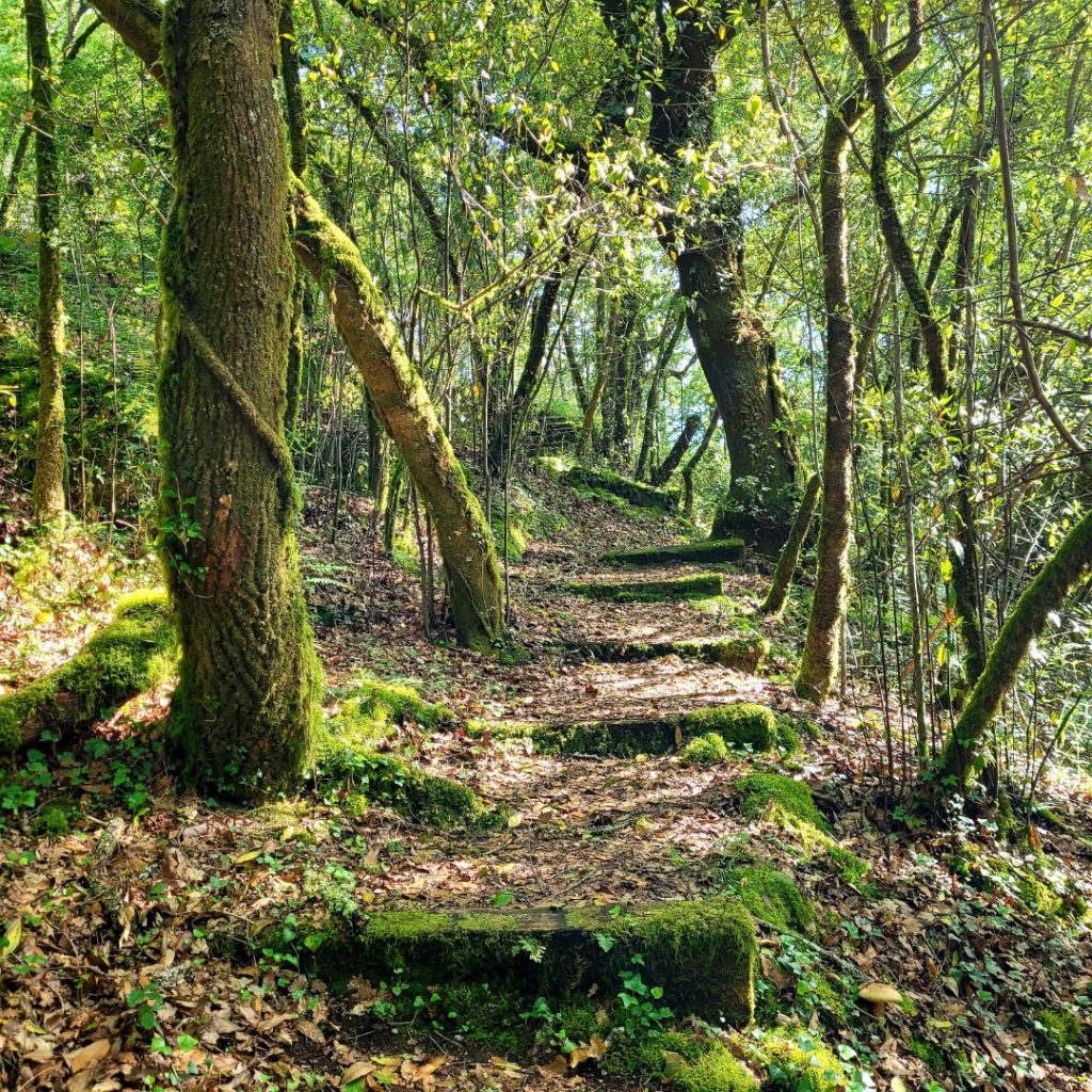 Sendero ruta molinos vedra Santiago de Compostela