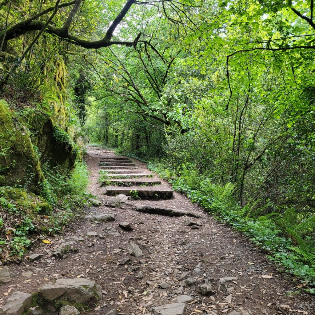 Tramo sendero a Fervenza Toxa